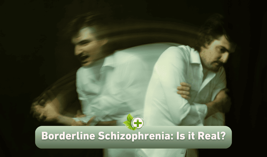 Is Borderline Schizophrenia Real – BIMJ