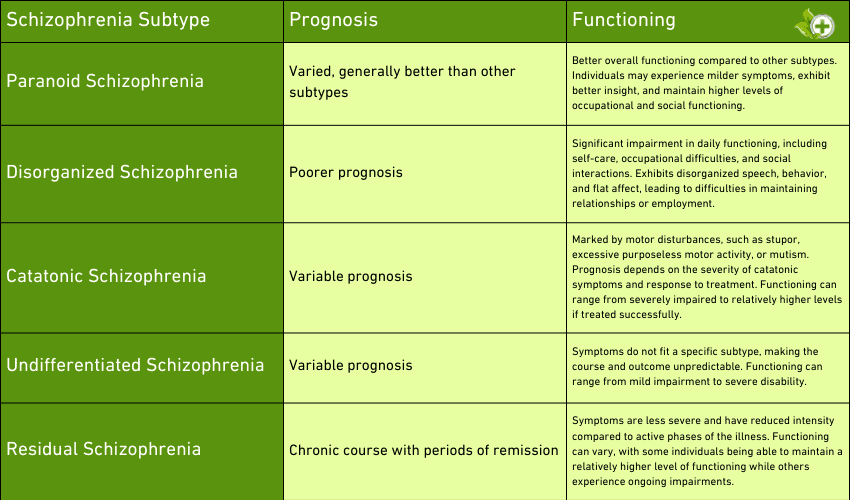 a table comparing the prognosis and functioning in different subtypes of schizophrenia