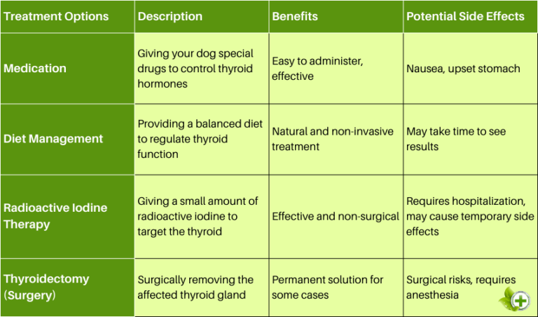 hyperthyroidism-in-dogs-causes-symptoms-and-treatments-for