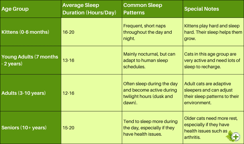 a simple table about cats and their sleep