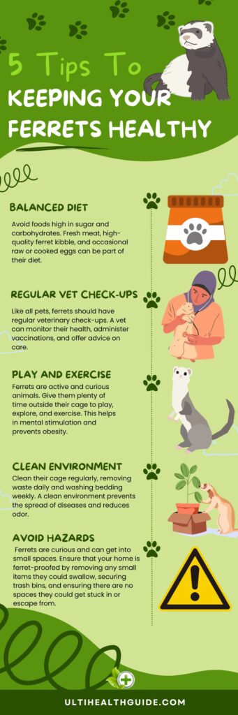 Disease preventive care for ferrets infographic