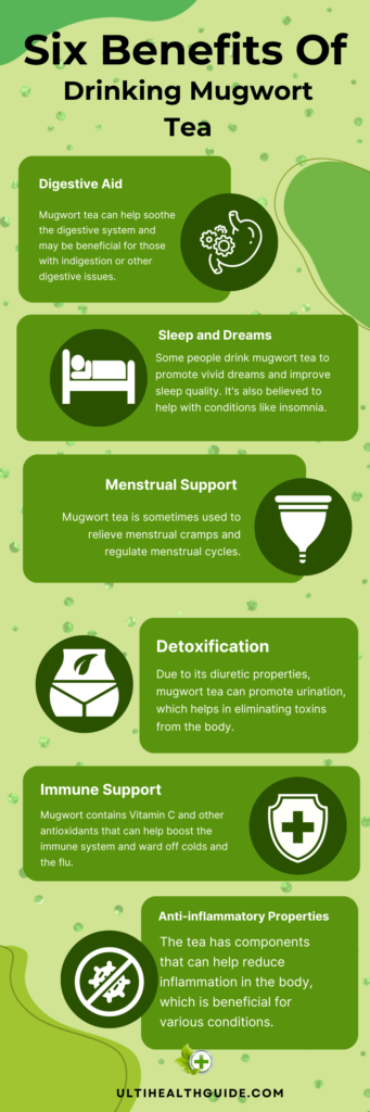 6 benefits of drinking mugwort tea infographic 