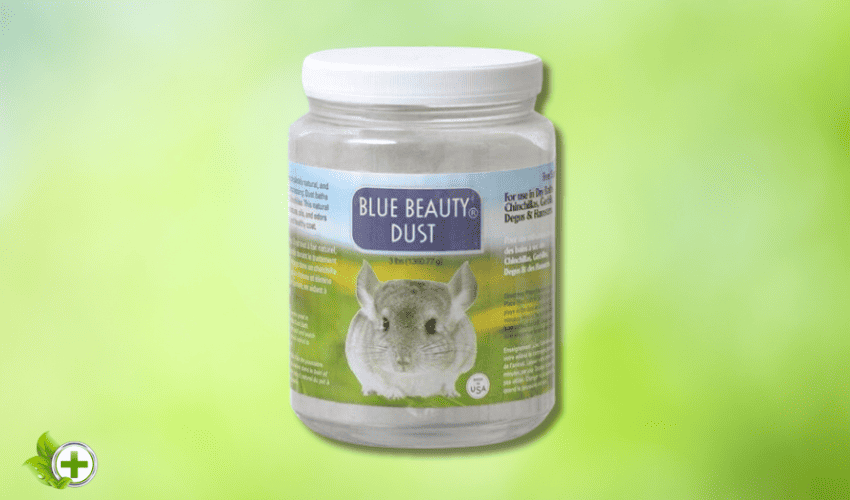 Blue cloud dust in a post about Why Do Chinchillas Take Dust Baths?