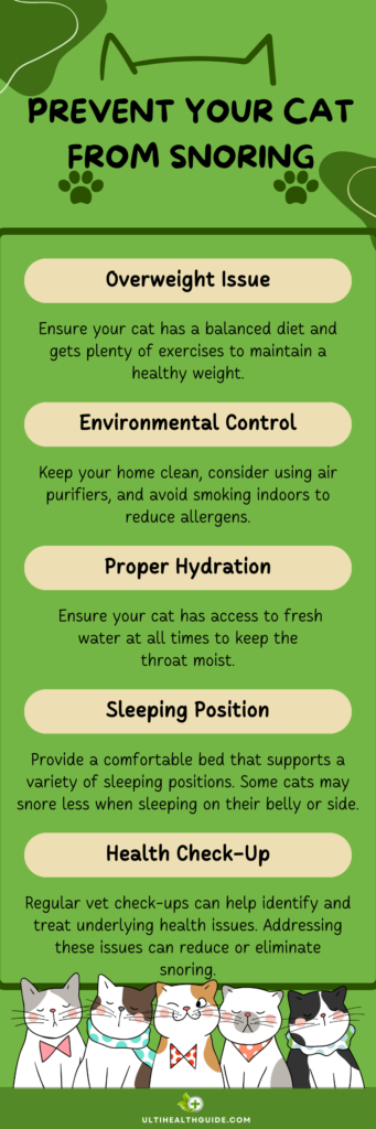 How you can prevent your cat snoring infographic in a post about Reasons For Cat Snoring And What You Can Do About It