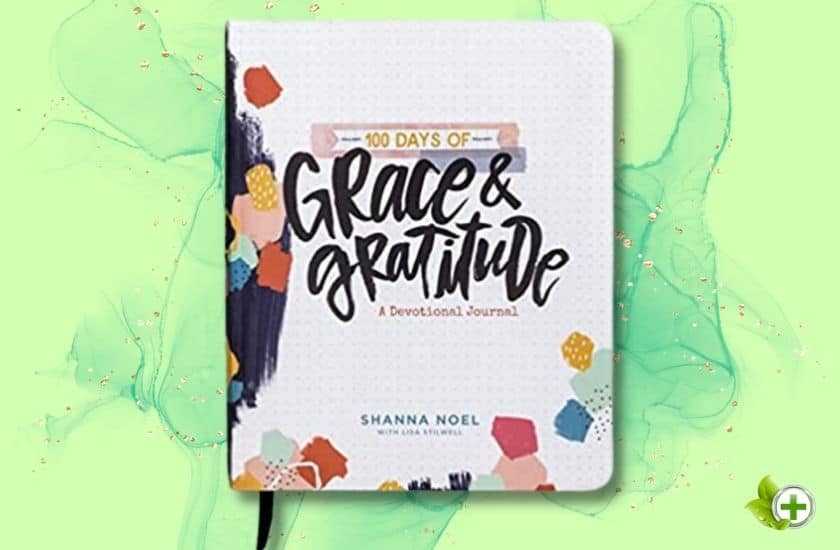 100 Days of Grace & Gratitude in a post about Self Care Journals