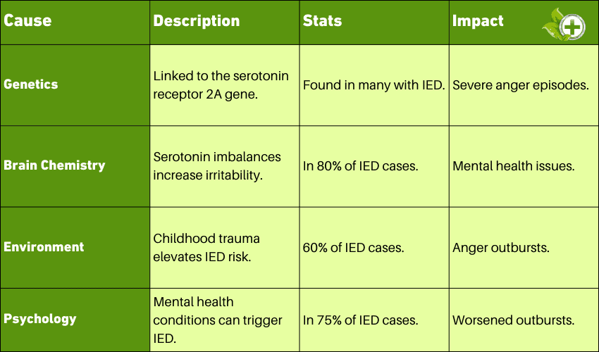 A table about the causes intermittent explosive disorder