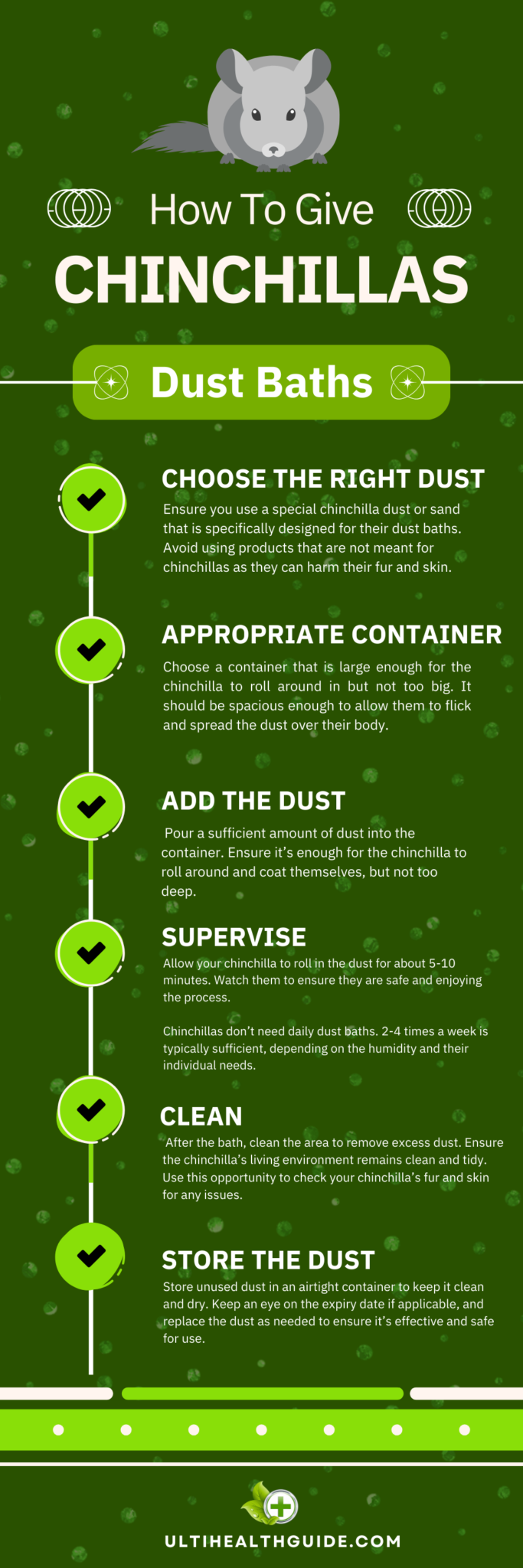 Why Do Chinchillas Take Dust Baths? - Ulti Health Guide