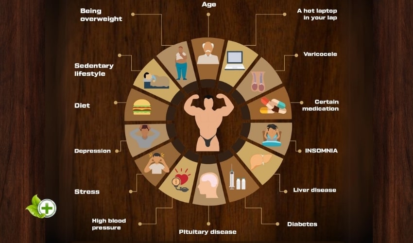  collage showing various factors like aging, stress, and lifestyle choices affecting Testosterone levels in a post about testosterone