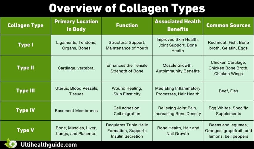 overview of collagen types
